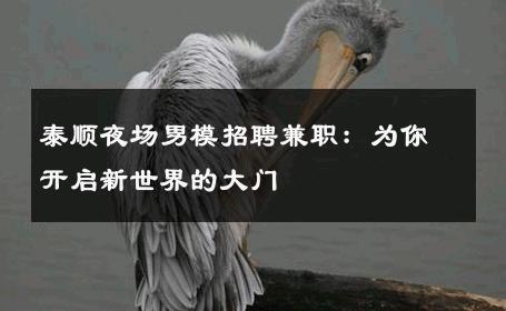 泰顺夜场男模招聘兼职：为你开启新世界的大门 