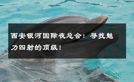 西安银河国际夜总会：寻找魅力四射的顶级！ 
