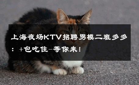 上海夜场KTV招聘男模二班多多：+包吃住-等你来！ 