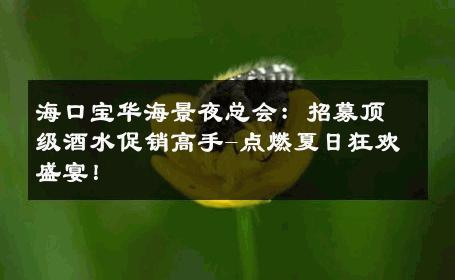 海口宝华海景夜总会：招募顶级酒水促销高手-点燃夏日狂欢盛宴！ 
