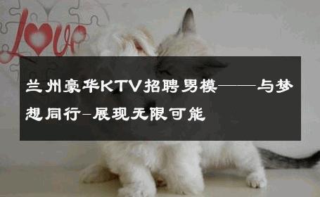 兰州豪华KTV招聘男模——与梦想同行-展现无限可能 