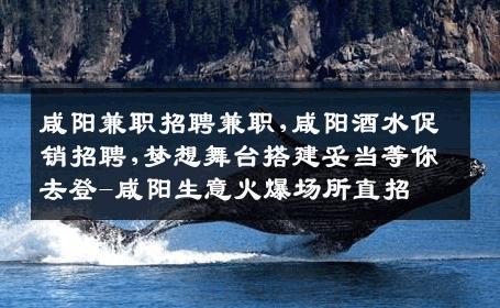 咸阳兼职招聘兼职,咸阳酒水促销招聘,梦想舞台搭建妥当等你去登-咸阳生意火爆场所直招