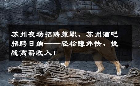 苏州夜场招聘兼职，苏州酒吧招聘日结——轻松赚外快，挑战高薪收入！