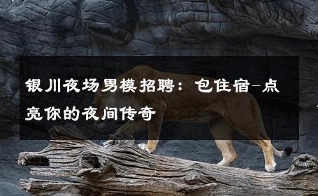 银川夜场男模招聘：包住宿-点亮你的夜间传奇 