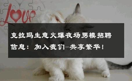 克拉玛生意火爆夜场男模招聘信息：加入我们-共享繁华！ 