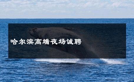 哈尔滨高端夜场诚聘 
