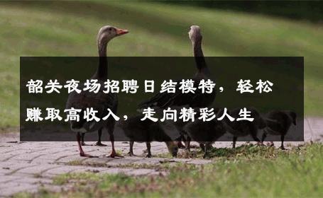 韶关夜场招聘日结模特，轻松赚取高收入，走向精彩人生