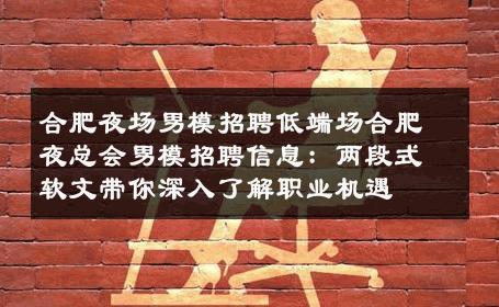 合肥夜场男模招聘低端场合肥夜总会男模招聘信息：两段式软文带你深入了解职业机遇 
