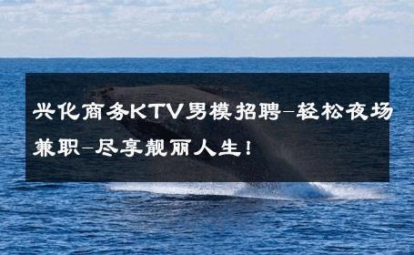 兴化商务KTV男模招聘-轻松夜场兼职-尽享靓丽人生！ 