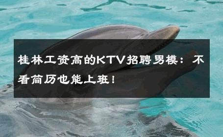 桂林工资高的KTV招聘男模：不看简历也能上班！ 