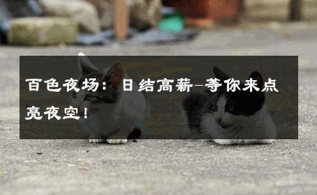 百色夜场：日结高薪-等你来点亮夜空！ 