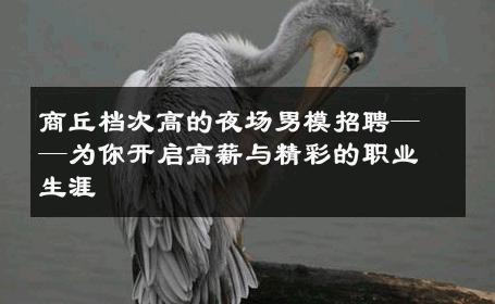 商丘档次高的夜场男模招聘——为你开启高薪与精彩的职业生涯 