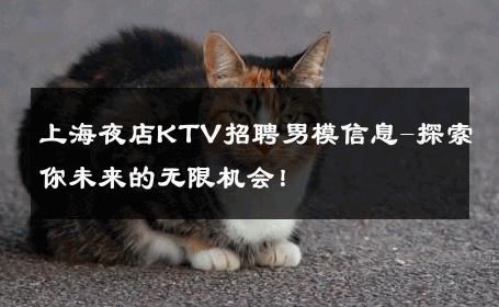 上海夜店KTV招聘男模信息-探索你未来的无限机会！ 