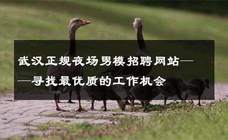 武汉正规夜场男模招聘网站——寻找最优质的工作机会 