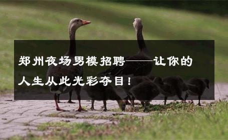 郑州夜场男模招聘——让你的人生从此光彩夺目！ 