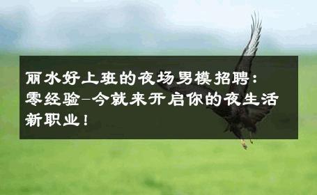 丽水好上班的夜场男模招聘：零经验-今就来开启你的夜生活新职业！ 
