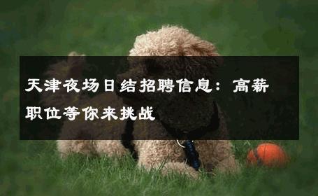 天津夜场日结招聘信息：高薪职位等你来挑战 