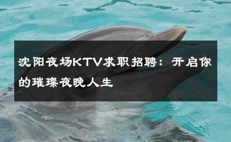 沈阳夜场KTV求职招聘：开启你的璀璨夜晚人生 