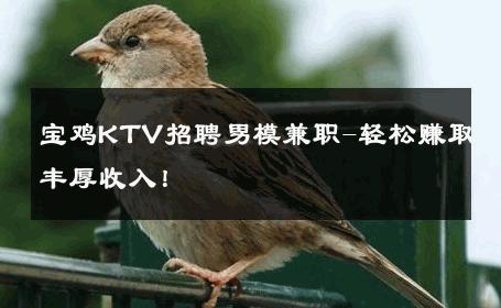 宝鸡KTV招聘男模兼职-轻松赚取丰厚收入！ 