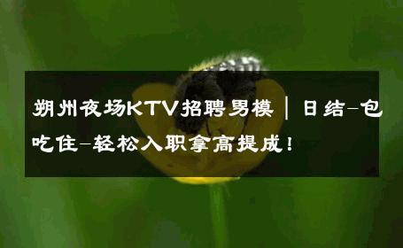 朔州夜场KTV招聘男模｜日结-包吃住-轻松入职拿高提成！ 