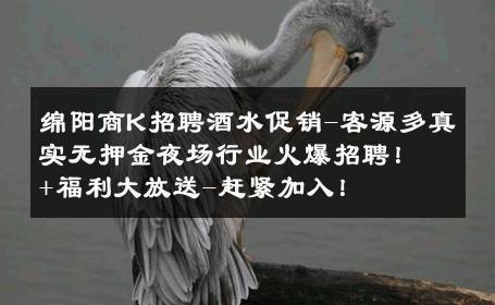 绵阳商K招聘酒水促销-客源多真实无押金夜场行业火爆招聘！+福利大放送-赶紧加入！ 