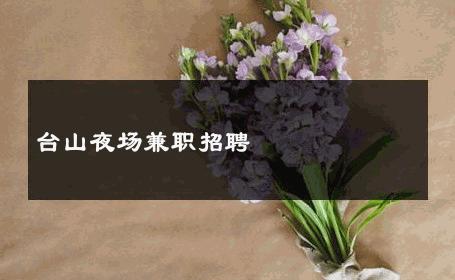 台山夜场兼职招聘 