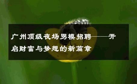 广州顶级夜场男模招聘——开启财富与梦想的新篇章 