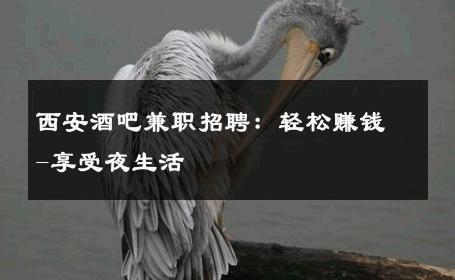 西安酒吧兼职招聘：轻松赚钱-享受夜生活 