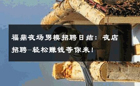 福鼎夜场男模招聘日结：夜店招聘-轻松赚钱等你来！ 