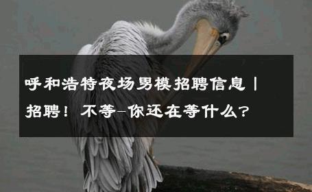 呼和浩特夜场男模招聘信息丨招聘！不等-你还在等什么？ 