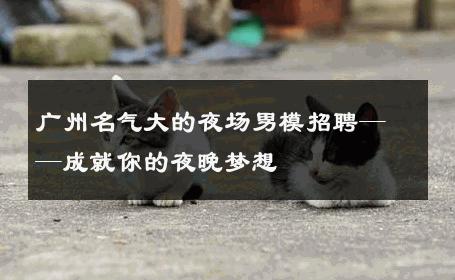 广州名气大的夜场男模招聘——成就你的夜晚梦想 