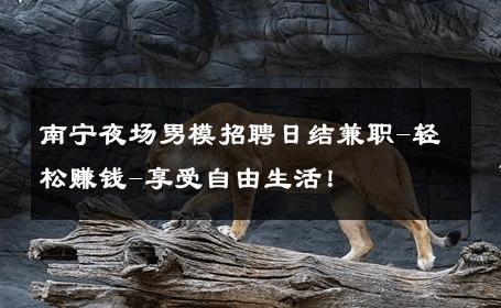 南宁夜场男模招聘日结兼职-轻松赚钱-享受自由生活！ 