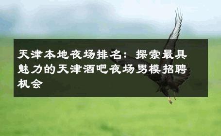 天津本地夜场排名：探索最具魅力的天津酒吧夜场男模招聘机会 