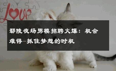 鄢陵夜场男模招聘火爆：机会难得-抓住梦想的时机 