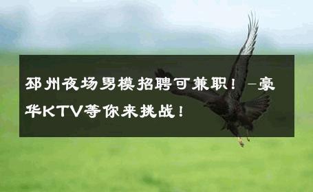 邳州夜场男模招聘可兼职！-豪华KTV等你来挑战！ 