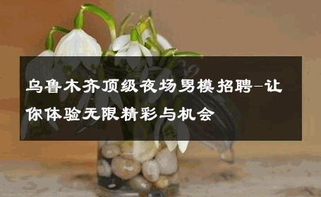 乌鲁木齐顶级夜场男模招聘-让你体验无限精彩与机会 