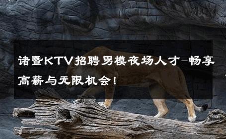 诸暨KTV招聘男模夜场人才-畅享高薪与无限机会！ 