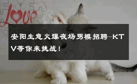 安阳生意火爆夜场男模招聘-KTV等你来挑战！ 