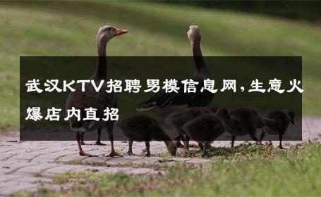 武汉KTV招聘男模信息网,生意火爆店内直招 