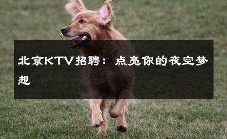 北京KTV招聘：点亮你的夜空梦想 