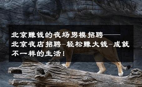 北京赚钱的夜场男模招聘——北京夜店招聘-轻松赚大钱-成就不一样的生活！ 