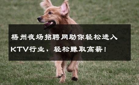 梧州夜场招聘网助你轻松进入KTV行业，轻松赚取高薪！