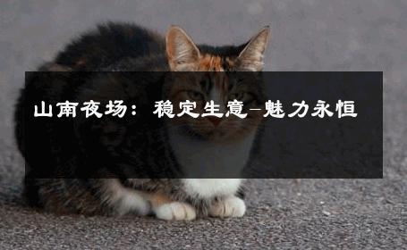 山南夜场：稳定生意-魅力永恒 