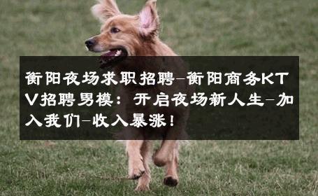 衡阳夜场求职招聘-衡阳商务KTV招聘男模：开启夜场新人生-加入我们-收入暴涨！ 