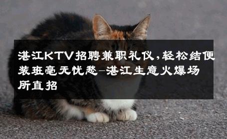 湛江KTV招聘兼职礼仪,轻松结便装班毫无忧愁-湛江生意火爆场所直招