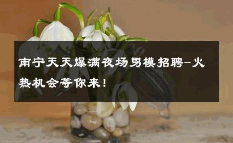 南宁天天爆满夜场男模招聘-火热机会等你来！ 