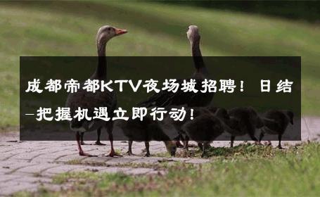 成都帝都KTV夜场城招聘！日结-把握机遇立即行动！ 