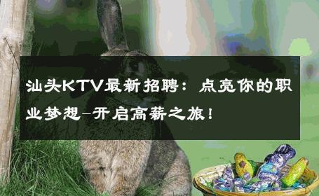 汕头KTV最新招聘：点亮你的职业梦想-开启高薪之旅！ 