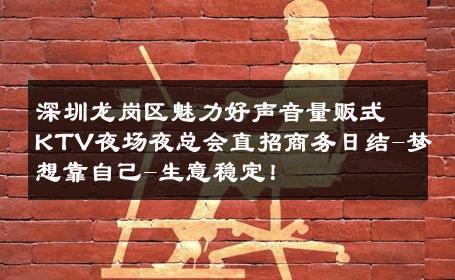 深圳龙岗区魅力好声音量贩式KTV夜场夜总会直招商务日结-梦想靠自己-生意稳定！ 