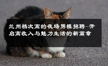 兰州档次高的夜场男模招聘-开启高收入与魅力生活的新篇章 